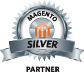 Magneto Silver Implementation Partner