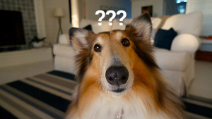 Multichannel eCommerce Questions